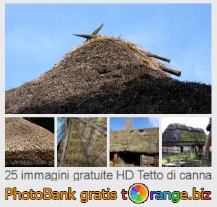 Banca Immagine di tOrange offre foto gratis nella sezione:  tetto-di-canna