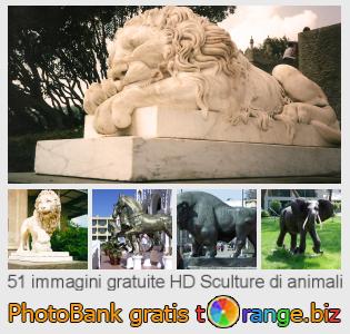 Banca Immagine di tOrange offre foto gratis nella sezione:  sculture-di-animali