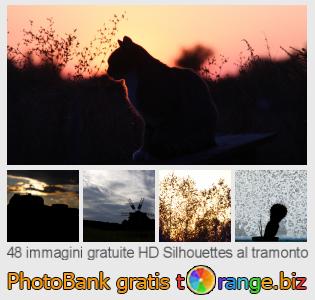 Banca Immagine di tOrange offre foto gratis nella sezione:  silhouettes-al-tramonto