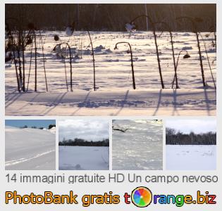 Banca Immagine di tOrange offre foto gratis nella sezione:  un-campo-nevoso