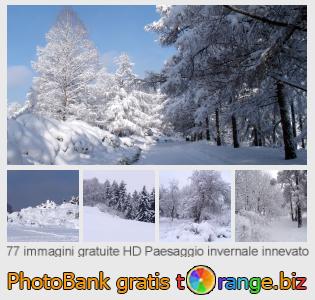 Banca Immagine di tOrange offre foto gratis nella sezione:  paesaggio-invernale-innevato