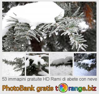Banca Immagine di tOrange offre foto gratis nella sezione:  rami-di-abete-con-neve