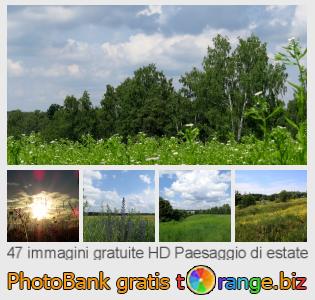 Banca Immagine di tOrange offre foto gratis nella sezione:  paesaggio-di-estate
