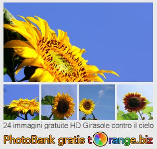 Banca Immagine di tOrange offre foto gratis nella sezione:  girasole-contro-il-cielo