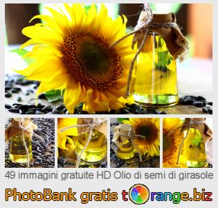 Banca Immagine di tOrange offre foto gratis nella sezione:  olio-di-semi-di-girasole