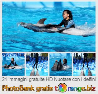 Banca Immagine di tOrange offre foto gratis nella sezione:  nuotare-con-i-delfini