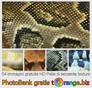 Banca Immagine di tOrange offre foto gratis nella sezione:  pelle-di-serpente-texture