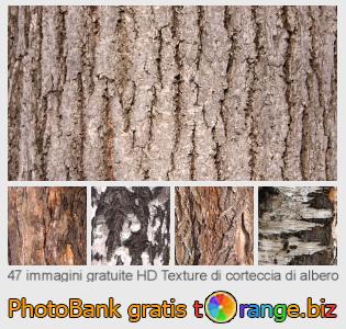 Banca Immagine di tOrange offre foto gratis nella sezione:  texture-di-corteccia-di-albero