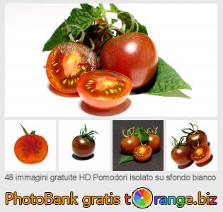 Banca Immagine di tOrange offre foto gratis nella sezione:  pomodori-isolato-su-sfondo-bianco