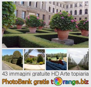 Banca Immagine di tOrange offre foto gratis nella sezione:  arte-topiaria