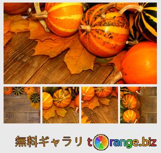イメージの銀行にtOrangeはセクションからフリーの写真を提供しています： カボチャと葉と秋の背景