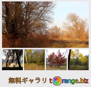 イメージの銀行にtOrangeはセクションからフリーの写真を提供しています： 秋の風景