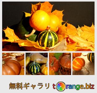 イメージの銀行にtOrangeはセクションからフリーの写真を提供しています： 秋のカボチャ