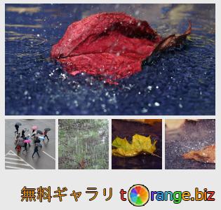 イメージの銀行にtOrangeはセクションからフリーの写真を提供しています： 秋雨
