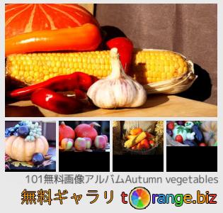 イメージの銀行にtOrangeはセクションからフリーの写真を提供しています： 秋の野菜