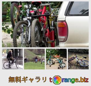 イメージの銀行にtOrangeはセクションからフリーの写真を提供しています： 自転車