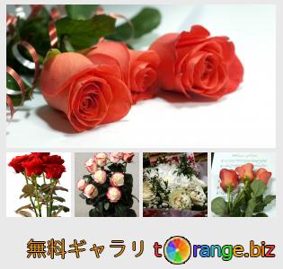 イメージの銀行にtOrangeはセクションからフリーの写真を提供しています： バラの花束