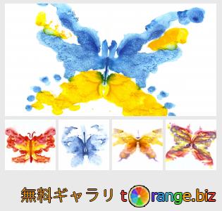 イメージの銀行にtOrangeはセクションからフリーの写真を提供しています： 蝶を描きます