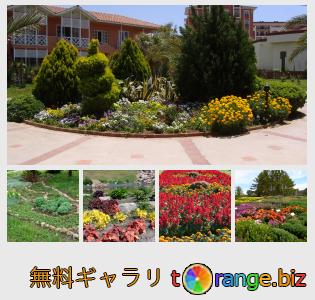イメージの銀行にtOrangeはセクションからフリーの写真を提供しています： 花の庭園や花壇