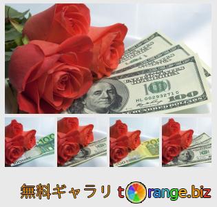 イメージの銀行にtOrangeはセクションからフリーの写真を提供しています： 花とお金