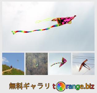 イメージの銀行にtOrangeはセクションからフリーの写真を提供しています： 凧