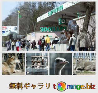 イメージの銀行にtOrangeはセクションからフリーの写真を提供しています： キエフ動物園