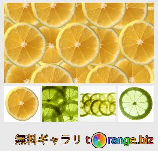 イメージの銀行にtOrangeはセクションからフリーの写真を提供しています： レモンスライス