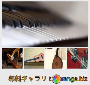 イメージの銀行にtOrangeはセクションからフリーの写真を提供しています： 楽器