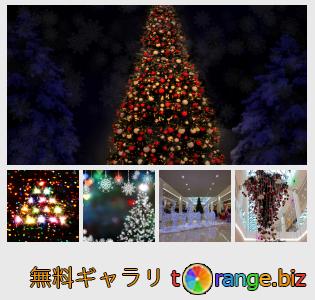 イメージの銀行にtOrangeはセクションからフリーの写真を提供しています： 新年とクリスマスツリー