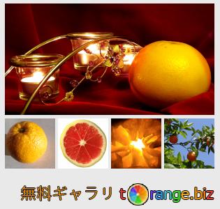 イメージの銀行にtOrangeはセクションからフリーの写真を提供しています： オレンジの果実