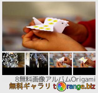 イメージの銀行にtOrangeはセクションからフリーの写真を提供しています： 折り紙