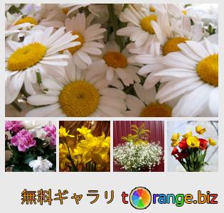 イメージの銀行にtOrangeはセクションからフリーの写真を提供しています： 素朴な花束