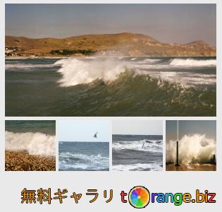 イメージの銀行にtOrangeはセクションからフリーの写真を提供しています： 海の波