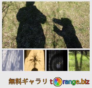 イメージの銀行にtOrangeはセクションからフリーの写真を提供しています： 影