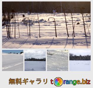 イメージの銀行にtOrangeはセクションからフリーの写真を提供しています： 雪原