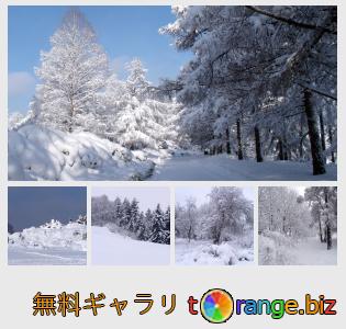 イメージの銀行にtOrangeはセクションからフリーの写真を提供しています： 雪に覆われた冬の風景