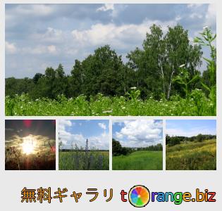 イメージの銀行にtOrangeはセクションからフリーの写真を提供しています： 夏の風景