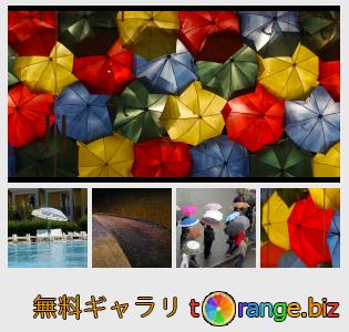 イメージの銀行にtOrangeはセクションからフリーの写真を提供しています： 傘