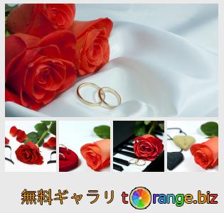 イメージの銀行にtOrangeはセクションからフリーの写真を提供しています： 結婚式の花