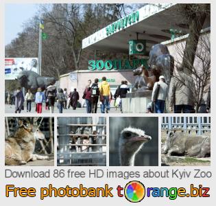 images free photo bank tOrange offers free photos from the section:  kyiv-zoo