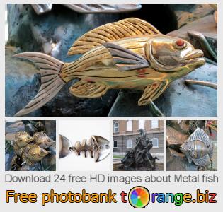 images free photo bank tOrange offers free photos from the section:  metal-fish