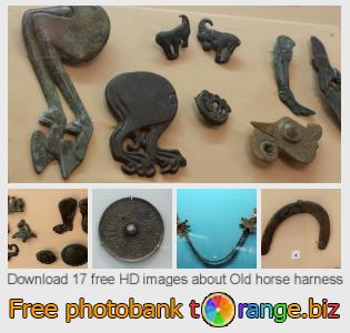 images free photo bank tOrange offers free photos from the section:  old-horse-harness