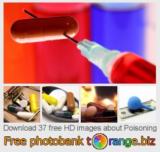 images free photo bank tOrange offers free photos from the section:  poisoning