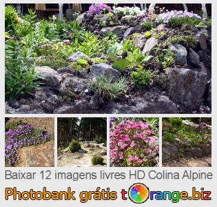 Banco de imagem tOrange oferece fotos grátis da seção:  colina-alpine