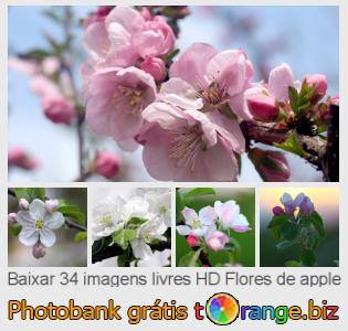 Banco de imagem tOrange oferece fotos grátis da seção:  flores-de-apple