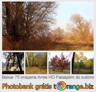 Banco de imagem tOrange oferece fotos grátis da seção:  paisagem-do-outono