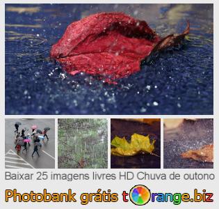 Banco de imagem tOrange oferece fotos grátis da seção:  chuva-de-outono