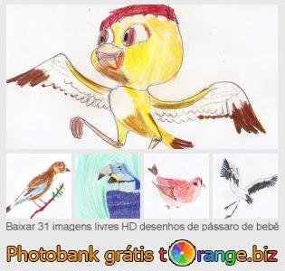 Banco de imagem tOrange oferece fotos grátis da seção:  desenhos-de-pássaro-de-bebê
