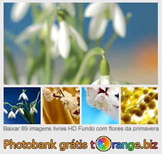 Banco de imagem tOrange oferece fotos grátis da seção:  fundo-com-flores-da-primavera