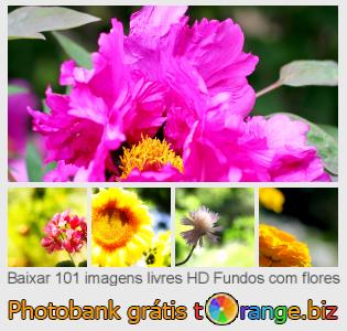 Banco de imagem tOrange oferece fotos grátis da seção:  fundos-com-flores